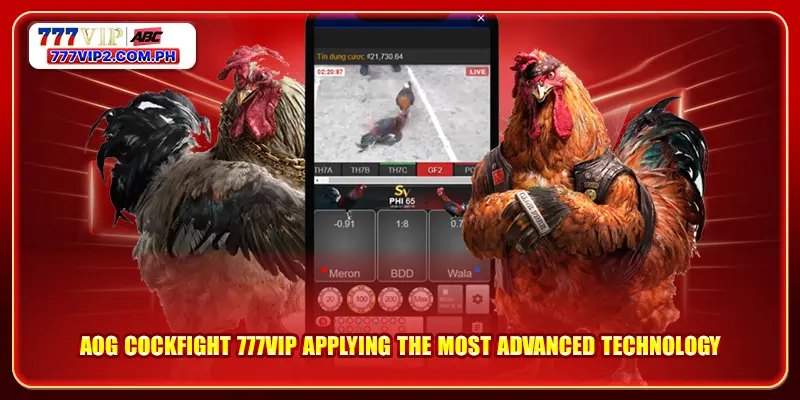 AOG Cockfight 4 AOG Cockfight 777VIP applying the most advanced technology