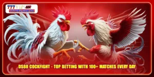 DS88 Cockfight - Top Betting With 100+ Matches Every Day