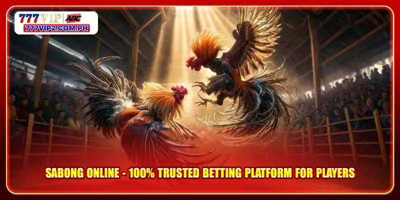 Sabong Online - 100% Trusted Betting Platform for Players